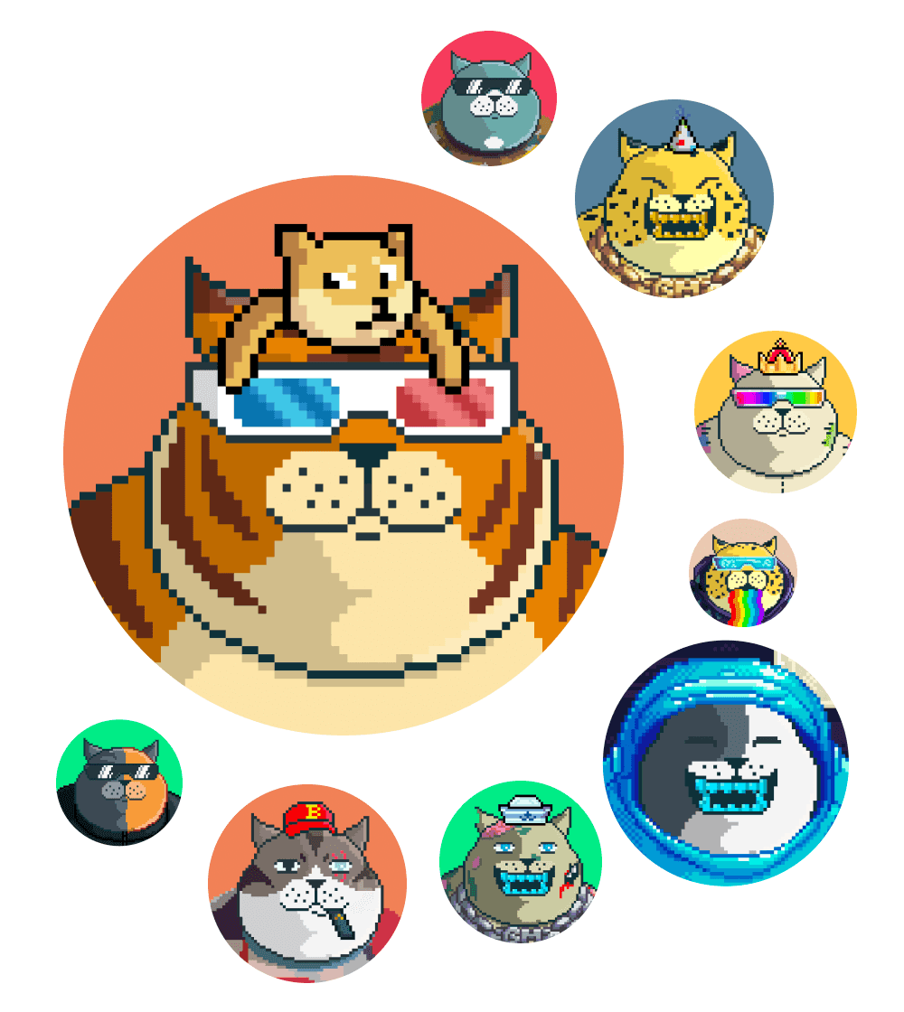 Fatcatz